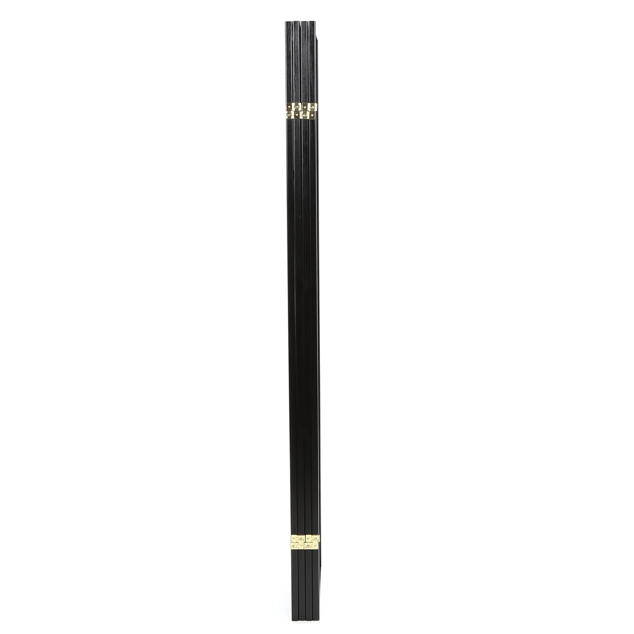 Black Shoji room divider